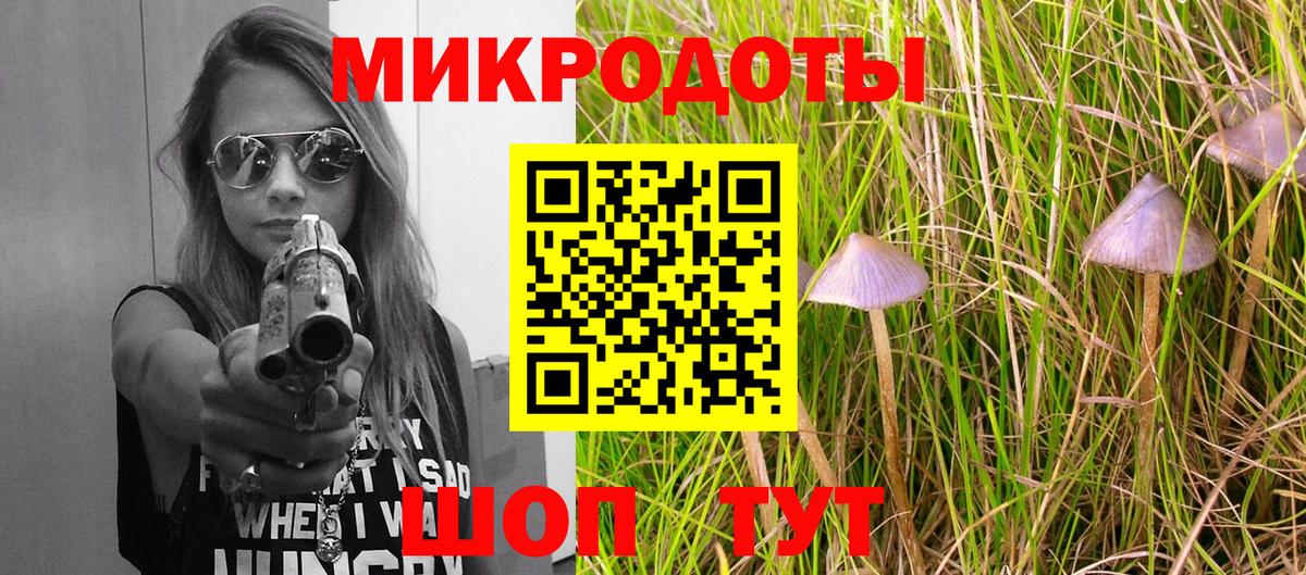 Губкин  Галлюциногенные грибы GOLDEN TEACHER  Вход с VPN 